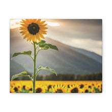 Load image into Gallery viewer, Canvas Gallery Wraps - Sunflower