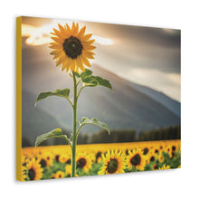 Load image into Gallery viewer, Canvas Gallery Wraps - Sunflower