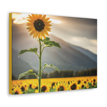 Load image into Gallery viewer, Canvas Gallery Wraps - Sunflower