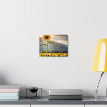 Load image into Gallery viewer, Canvas Gallery Wraps - Sunflower