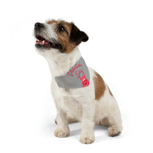 Load image into Gallery viewer, Pet Bandana Collar - Valentines Day - Grey