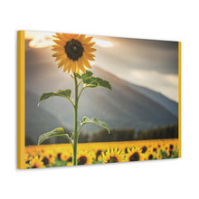 Load image into Gallery viewer, Canvas Gallery Wraps - Sunflower