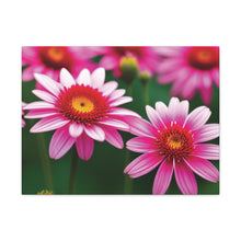Load image into Gallery viewer, Canvas Gallery Wraps - Pink Flowers