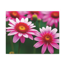 Load image into Gallery viewer, Canvas Gallery Wraps - Pink Flowers