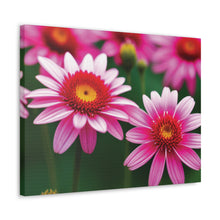 Load image into Gallery viewer, Canvas Gallery Wraps - Pink Flowers