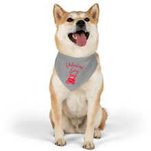 Load image into Gallery viewer, Pet Bandana Collar - Valentines Day - Grey
