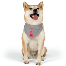 Load image into Gallery viewer, Pet Bandana Collar - Valentines Day - Grey