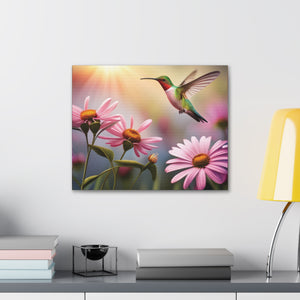 Canvas Gallery Wraps - Hummingbird