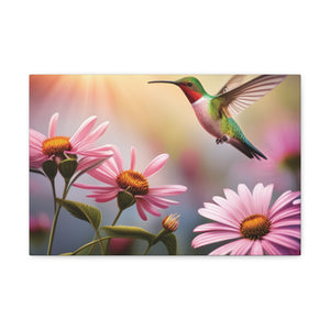 Canvas Gallery Wraps - Hummingbird