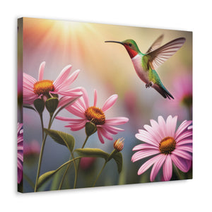 Canvas Gallery Wraps - Hummingbird