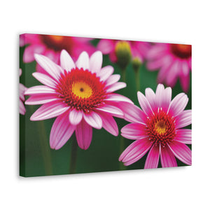 Canvas Gallery Wraps - Pink Flowers