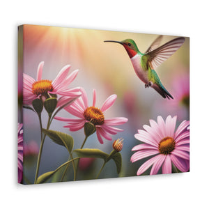 Canvas Gallery Wraps - Hummingbird