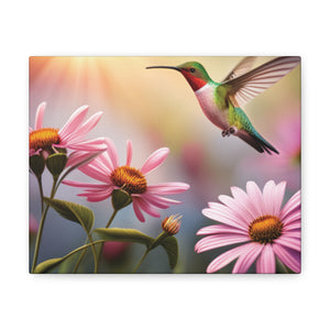 Canvas Gallery Wraps - Hummingbird