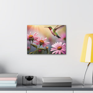 Canvas Gallery Wraps - Hummingbird