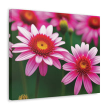 Load image into Gallery viewer, Canvas Gallery Wraps - Pink Flowers
