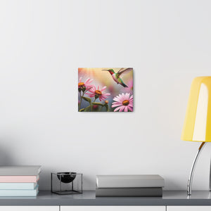 Canvas Gallery Wraps - Hummingbird