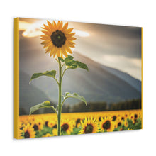 Load image into Gallery viewer, Canvas Gallery Wraps - Sunflower
